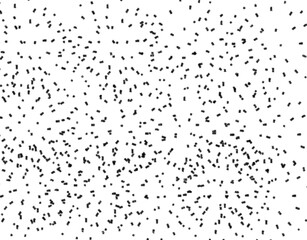 Grunge Brush Collection