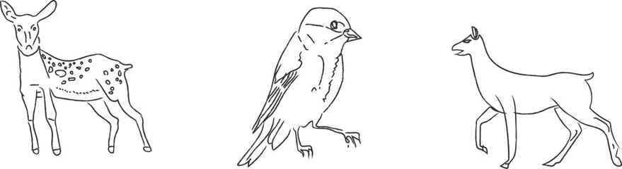 Line art drawings of a deer a bird and a goat in a row on white background