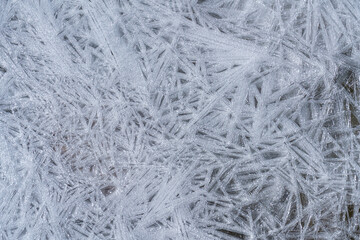 Intricate ice crystals form a delicate winter pattern
