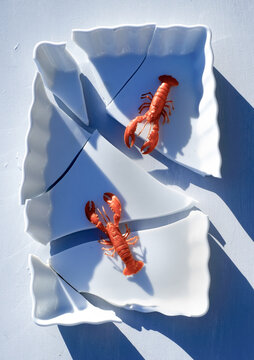 crustac&eacute;s  plat en porcelaine bris&eacute; , ombre et lumi&egrave;re , 