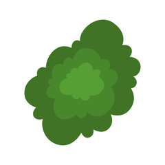 Fototapeta premium Tree or bush for architectural floor plans. Entourage design. Tree, bush, and shrub, top view for the landscape design plan