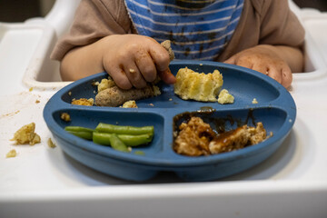 Toddler Eating from Divided Plate
