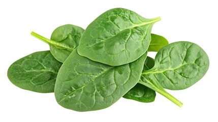 Fototapeta premium Fresh Spinach Leaves Pile isolated on a transparent background