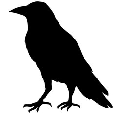 Minimalist Black Crow Bird Shadow Silhouette Clipart