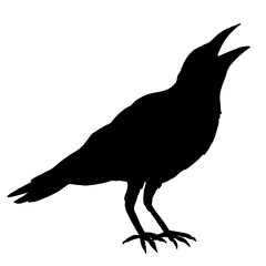 Hand Drawn Black Crow Bird Silhouette Clipart Design