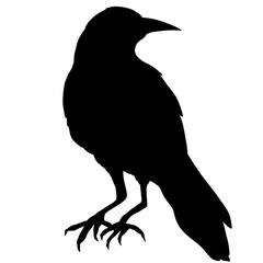 Black Crow Bird Simple Silhouette Illustration