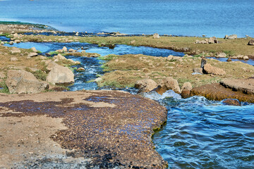 A close-up of shallow stream water flowing over rocks near a lake shoreline under clear sunny skies.