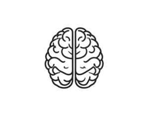 A simple black line art illustration of a human brain, symmetrical outline with smoot 