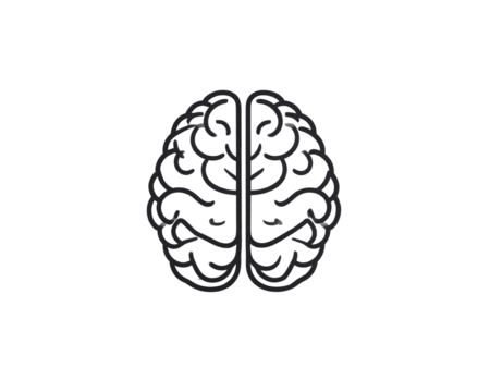 A simple black line art illustration of a human brain, symmetrical outline with smoot 