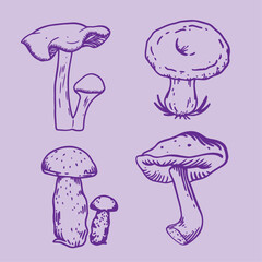 Hand drawn wild mushrooms collection in vintage engraving style, botanical forest fungus sketch illustration set on pastel background