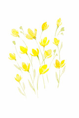 水彩黄色の花イラスト