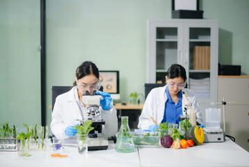 Asian scientists analyze vegetables with microscopes and laptop in clean biotech lab. Food testing,...