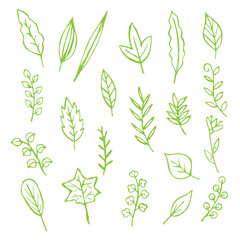 Green hand-drawn leaves and branches in a simple, sketchy outline style background.