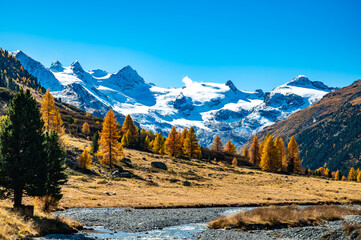 Autumnal view of the Roseg Valley, Switzerland, with trees and autumn colors.