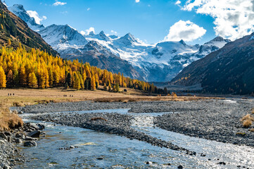 Autumnal view of the Roseg Valley, Switzerland, with trees and autumn colors.