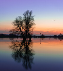 Serene Sunset Reflection Over Flooded