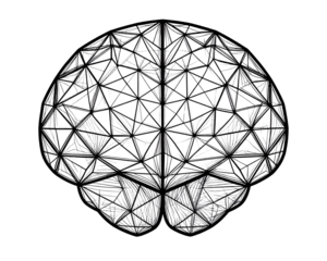 A modern geometric line art brain symbol created with fine black outlines, representi 