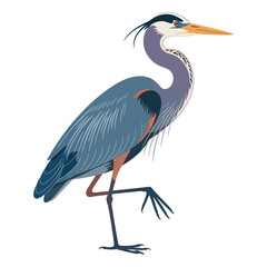 great blue heron