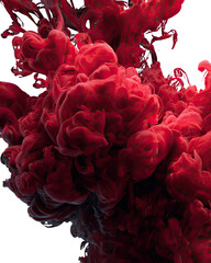 Deep crimson ink blooms in abstract form
