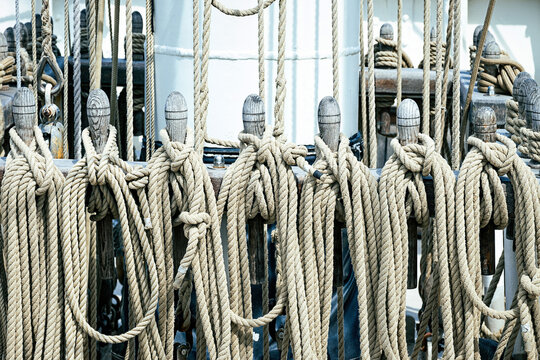 Many ropes of a sailing ship strung on wooden hooks.