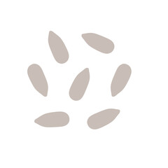 sunflower seeds vector illustration