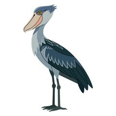 shoebill