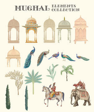 Indian Mughal arch, peacock and more elements in vector