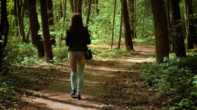 Woman walking quietly through green forest along winding trail. Female strolling on narrow woodland path between tall trees. Lady moving slowly under canopy through peaceful leafy scenery