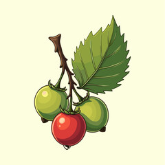 Vibrant Berries and Leaf on a Branch