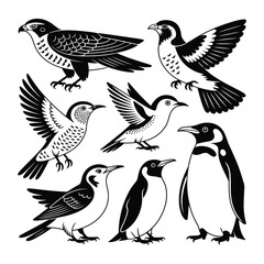 set of birds