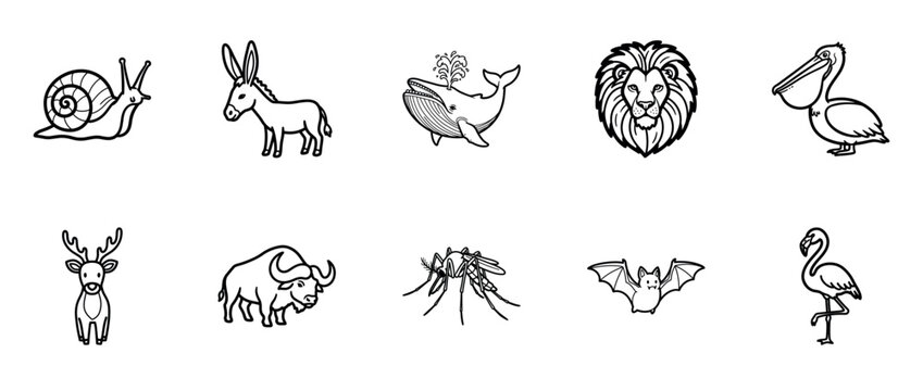 Outlined animal icons: snail, donkey, whale, lion, pelican, deer, buffalo, mosquito, bat, flamingo