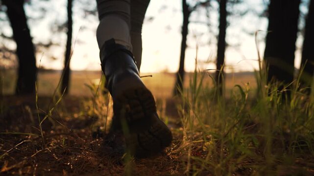 Walking through pine forest at sunset, close view shows boot and leg stepping on grass and pine needle ground, tree trunk and field beyond, warm light highlighting autumn leaf and textured bark