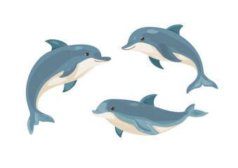 Fototapeta premium Cartoon dolphins swimming on transparent background