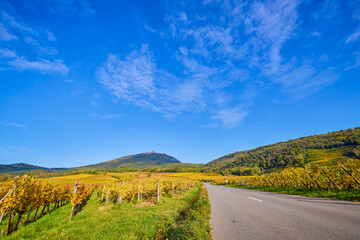 Naklejka premium Beautiful landscape with vineyard plantation in the Alsace area during autumn.