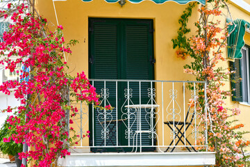 Bougainvillea in der Altstadt von Parga (Griechenland)