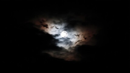 phase. Dramatic night sky featuring a full moon with subtle cloud details, evoking a serene celestial atmosphere. travel magazines, destination branding, designed for travel destination branding.