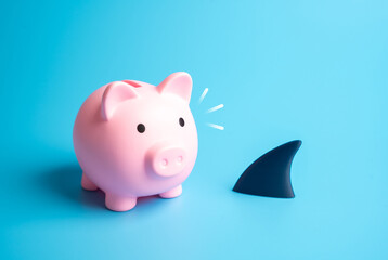 Threat to savings. Inflation and devaluation of assets. The threat of an impending crisis, a...