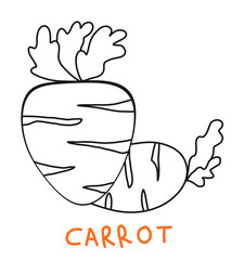 Picture of a carrot to color