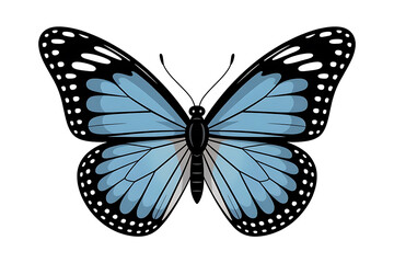 Obraz premium Delicate butterfly with light blue wings and black accents, a symbol of transformation and beauty.