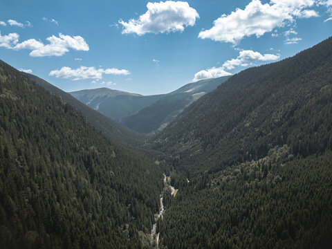 Aerial view of a winding river snaking through a valley surrounded by dense forests, creating a tapestry of deep greens under a sky dotted with fluffy white clouds, Bucharest, Romania.