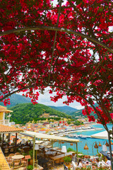 Bougainvillea in der Altstadt von Parga, Epirus(Griechenland)