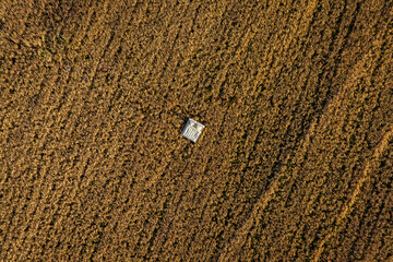 Drone photo of a small white bed in the middle of a vast golden wheat field captured from a high altitude, emphasizing scale, isolation, and creative minimalism under warm evening light