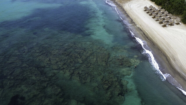 Aerial view of the beach meeting the translucent turquoise waters, with thatched umbrellas lining the shore, Mallorca, Balearic Islands, Spain.