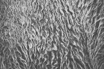 texture of bison fur
