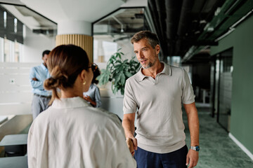 Obraz premium Portrait of a young businessman and businesswoman shaking hands introducing each other during a meeting or conference in the office
