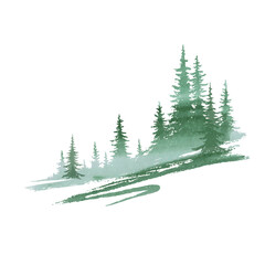 forest, coniferous trees, fog