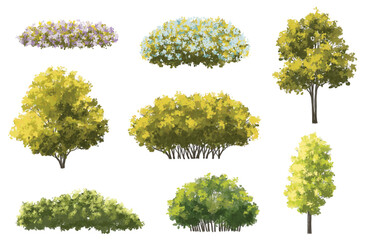  Vector watercolor green  tree or forest side view isolated on white background for landscape and architecture drawing,elements for environment or and garden,Shrub for section