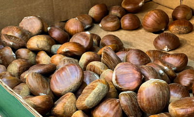 Brown chestnuts maroon nuts in a box at a supermarket 