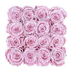 Luxury Pink Roses in Square Box, Elegant Romantic Gift Arrangement, perfect for luxury gifts, romantic occasions, floral design, and premium decorative concepts