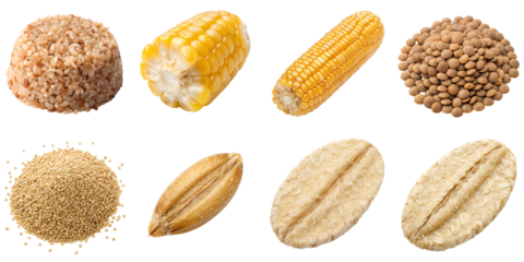 Whole grain assortment including cooked bulgur, corn cob, dry corn, lentil pile and various cereal grains offering wholesome natural texture